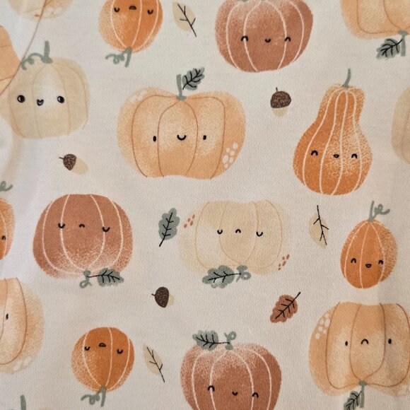 Rabbit bear organic fall pumpkin harvest baby boys 4 piece set 12m - Picture 6 of 12
